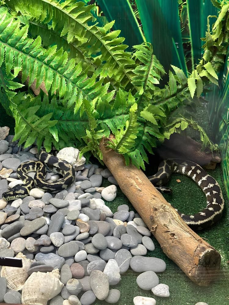 Photograph by Елена Мулькова