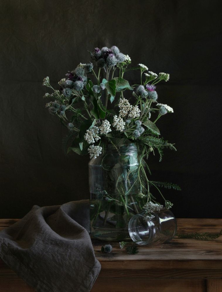 Photograph by Дина Полухина