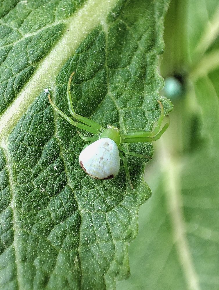 Photograph by Дмитрий Фетисов