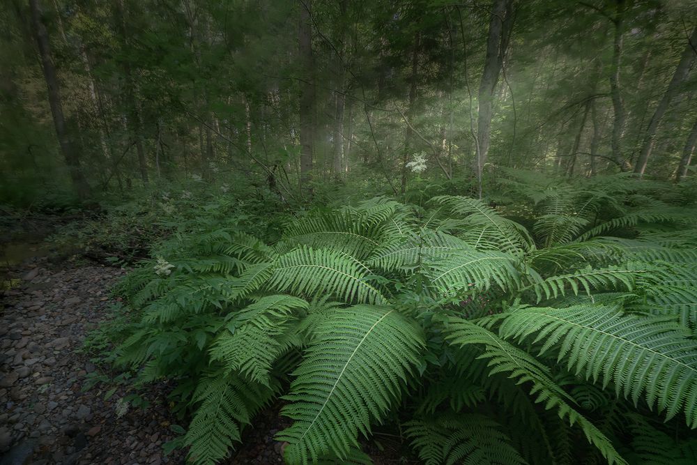 Photograph by Елена Амозова