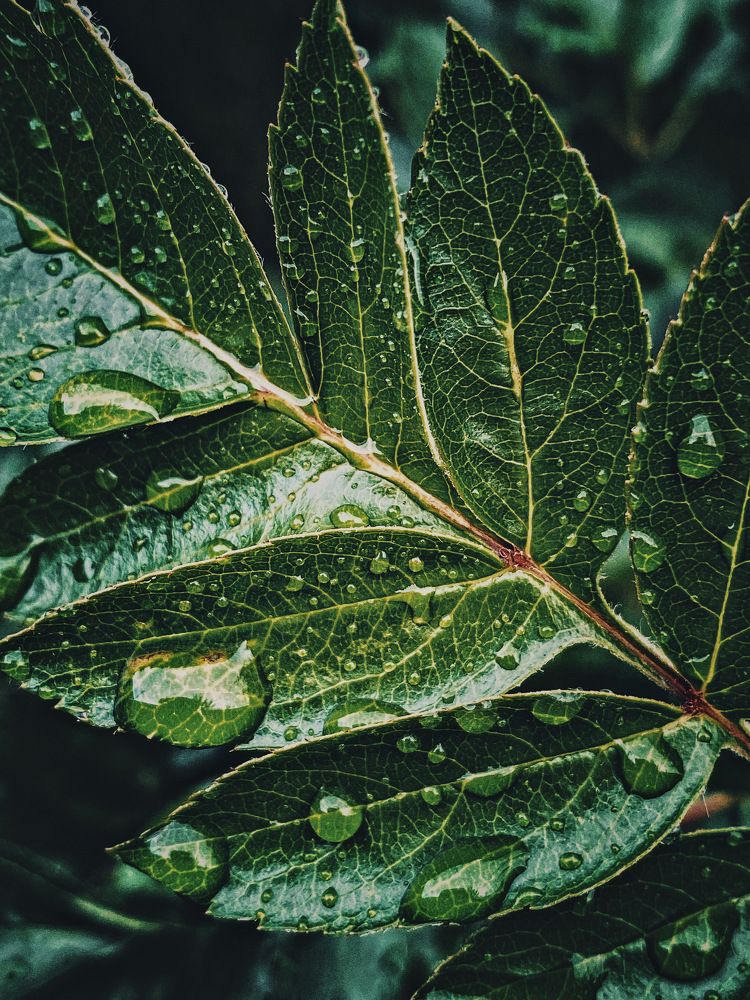 Фотография автора Евгения Никишина