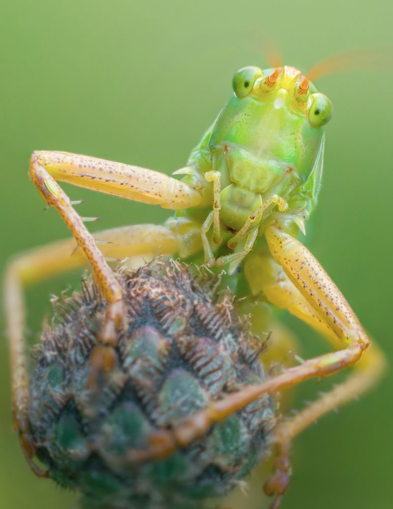 Photograph by Patryk George