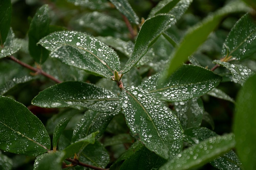 Photograph by Юлия Козельских