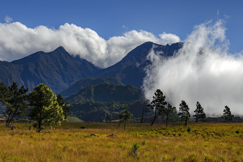 Photograph by Josue Friedrich