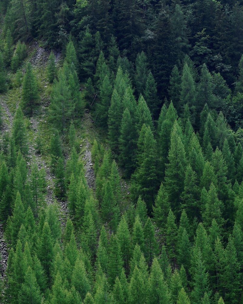 Photograph by Marina Odintsova