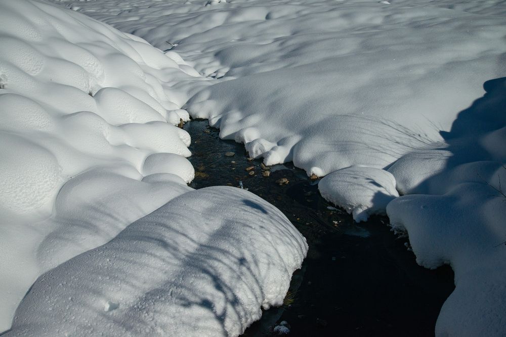Photograph by Римма Волченко