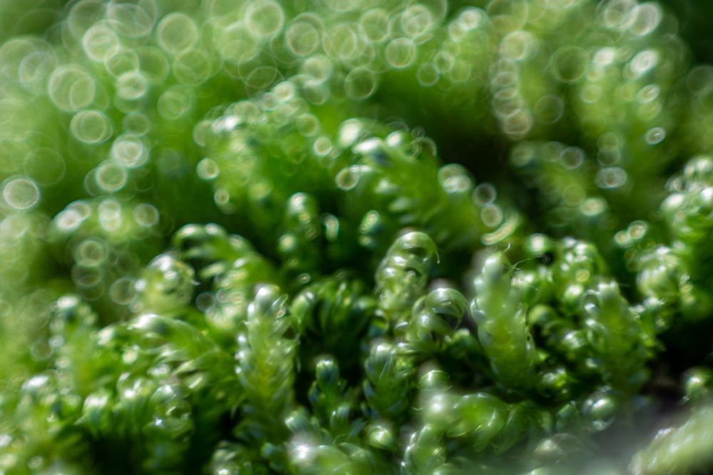 Фотография автора Евгения Снигирева