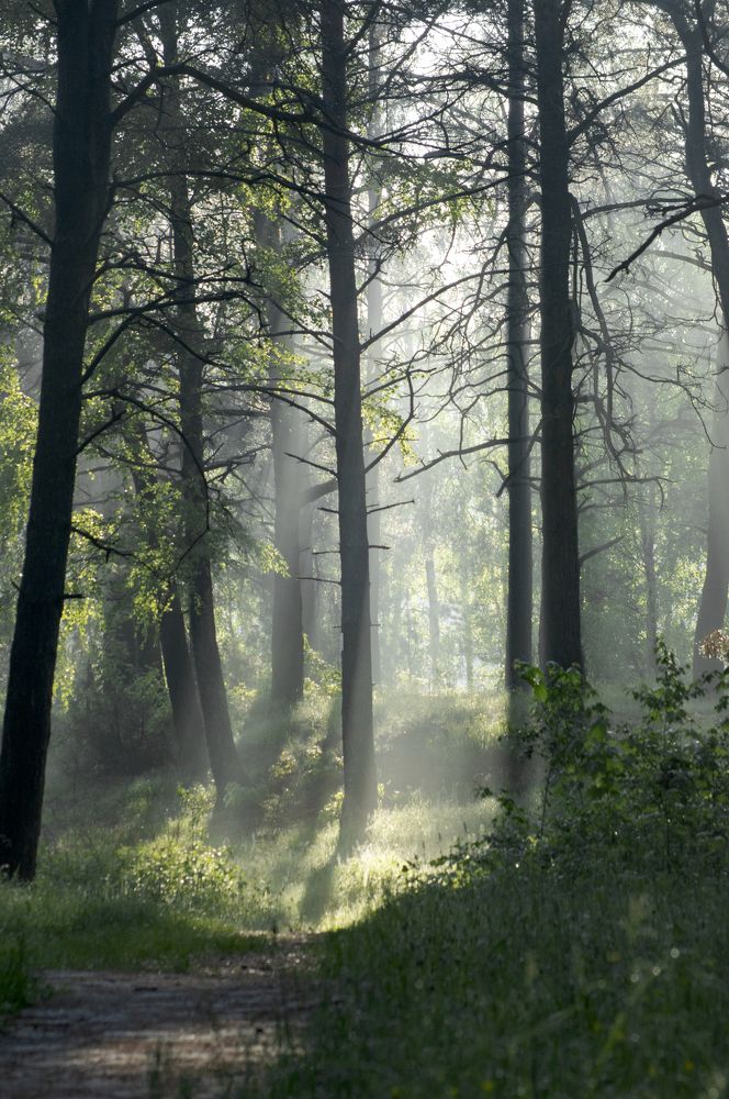 Photograph by Елена Кошелева