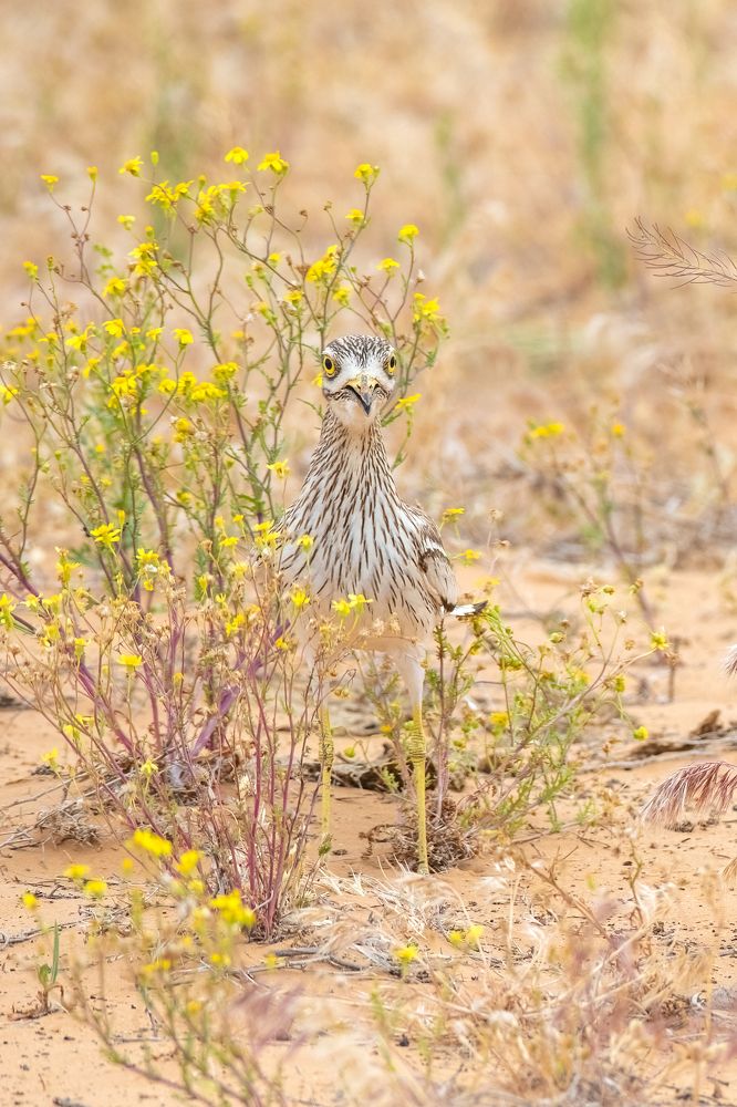 Photograph by Власов Егор