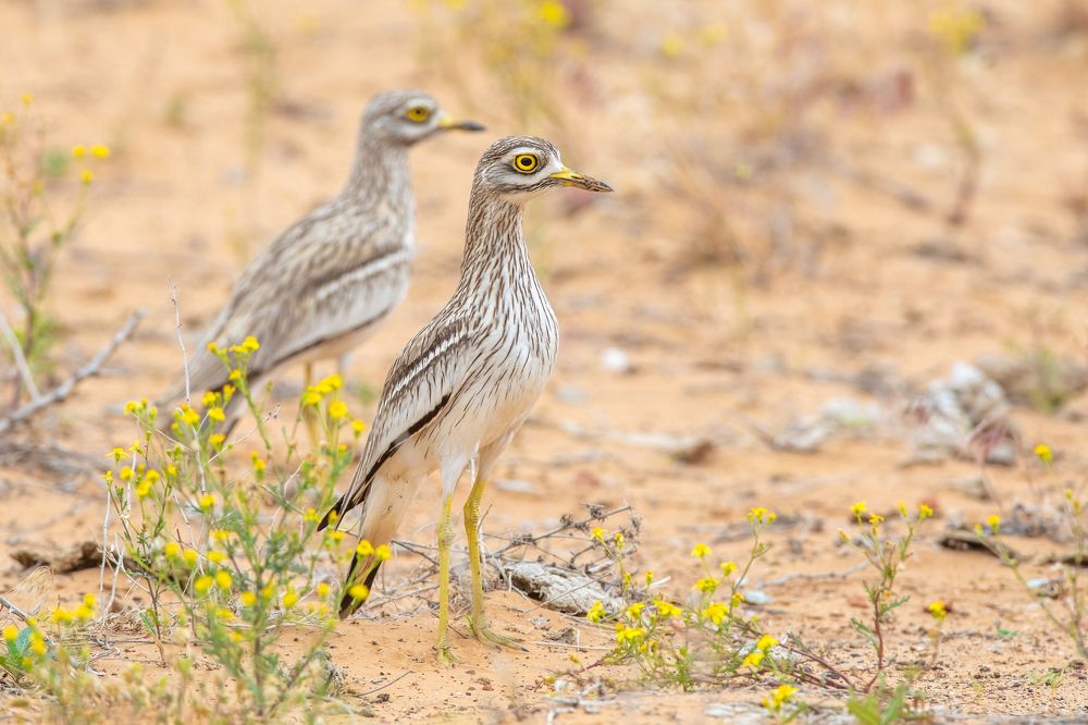 Photograph by Власов Егор