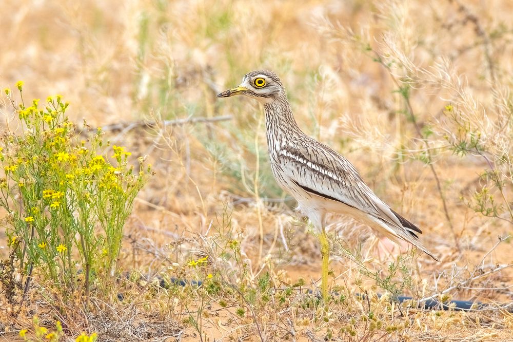 Photograph by Власов Егор