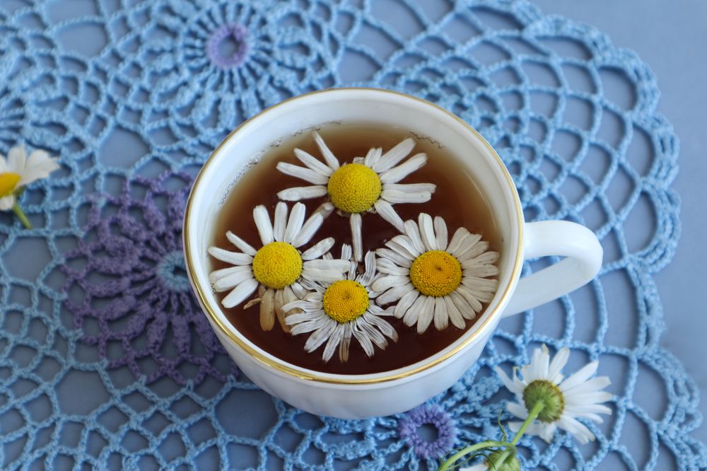 Photograph by Мария Самолевич