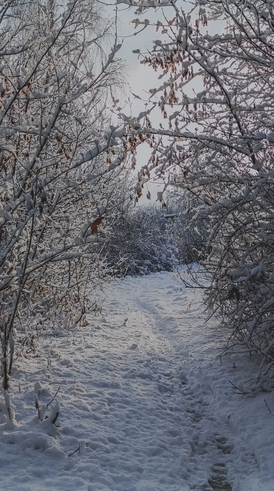 Фотография автора Юлия Якубова
