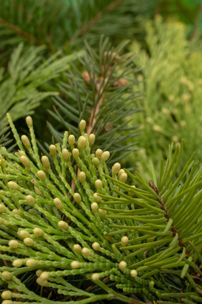 Photograph by Rajka Milojić