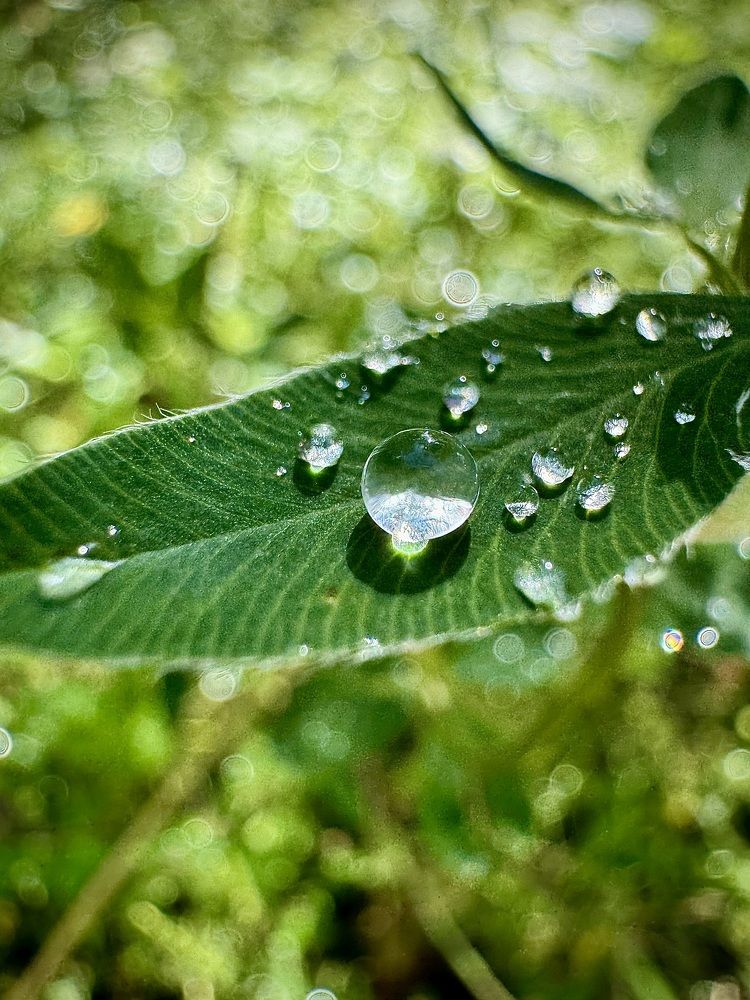 Фотография автора Евгения Елисеева