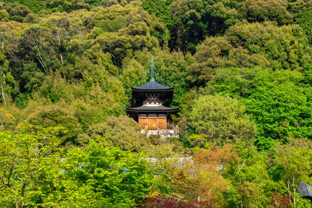 Photograph by Ivan Schaievitch