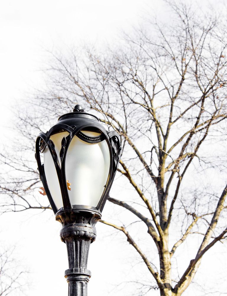 Photograph by Анатолий Костерев