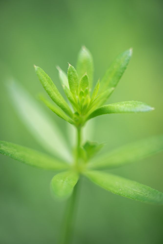 Фотография автора Войнов Дмитрий