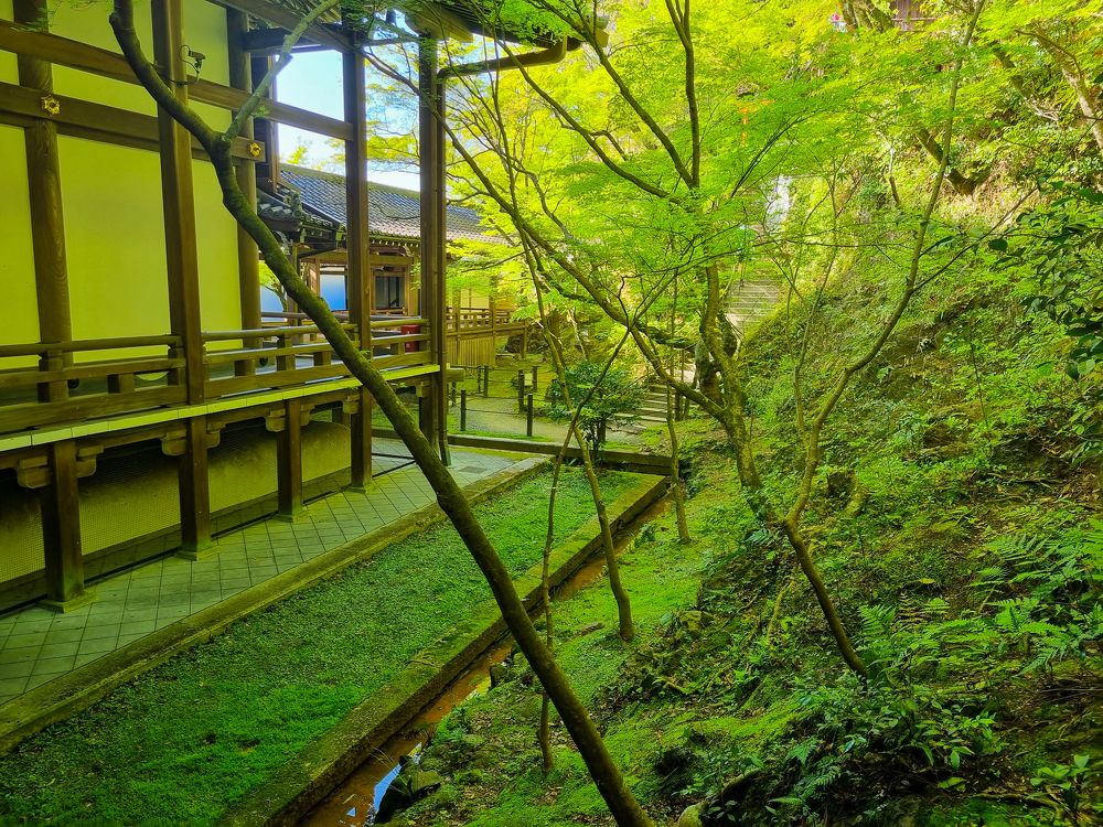 Photograph by Sandra Kominiarz