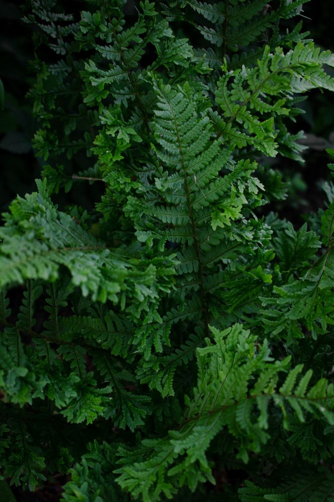 Photograph by Галина Ноздрина