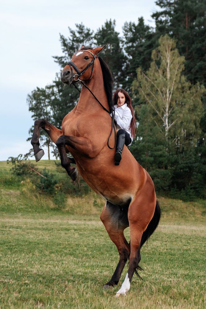 Фотография автора Татьяна Чапко