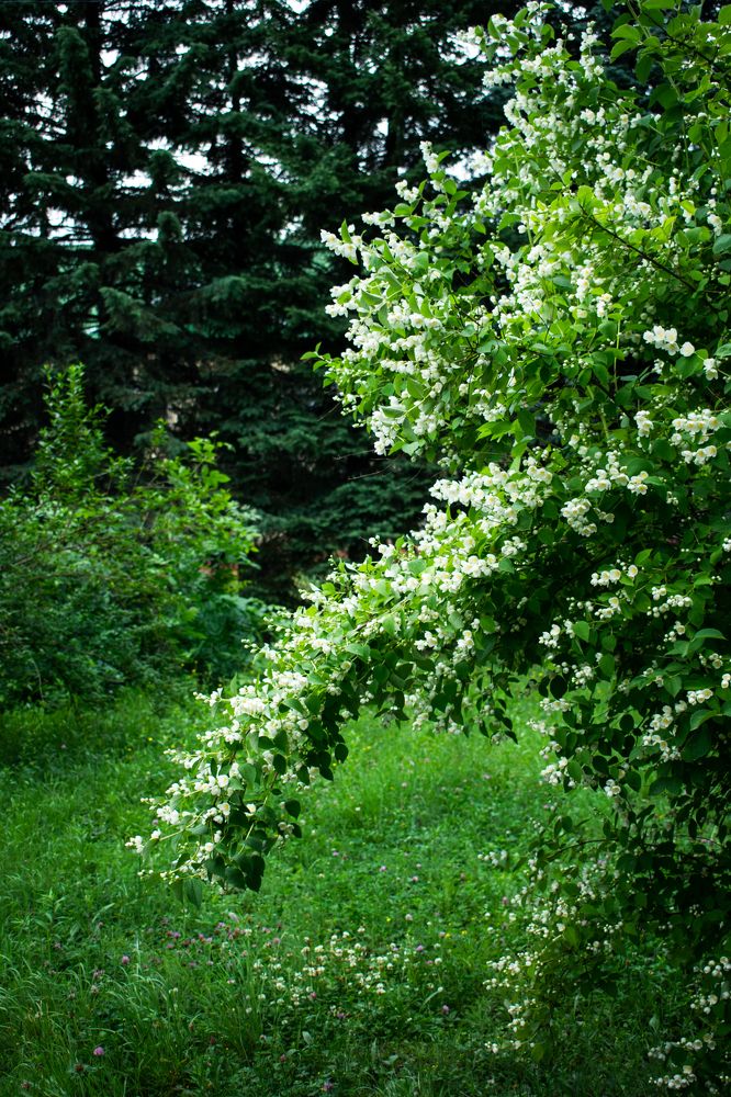 Photograph by Галина Ноздрина