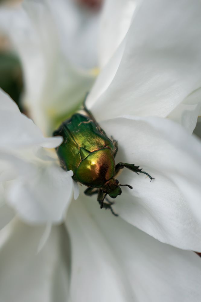 Photograph by Галина Ноздрина