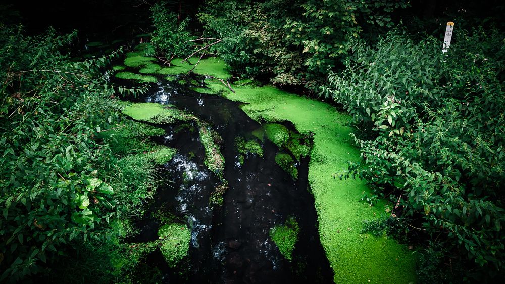 Photograph by Michael Nik