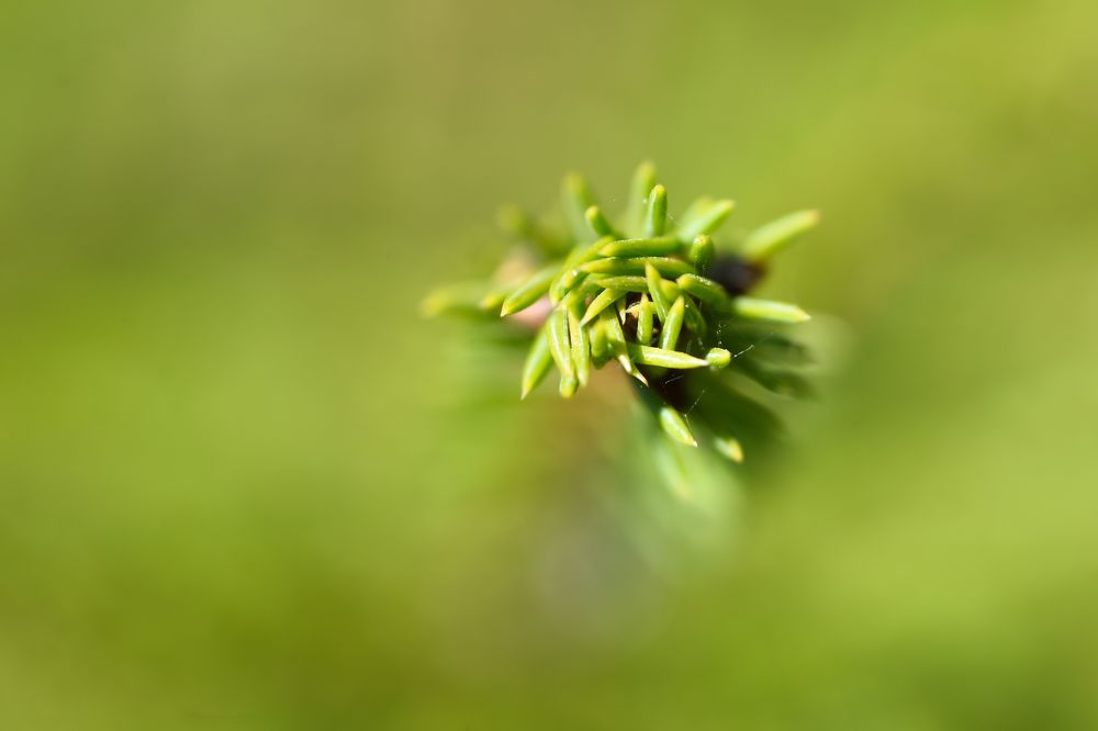 Photograph by Olga Mendosa