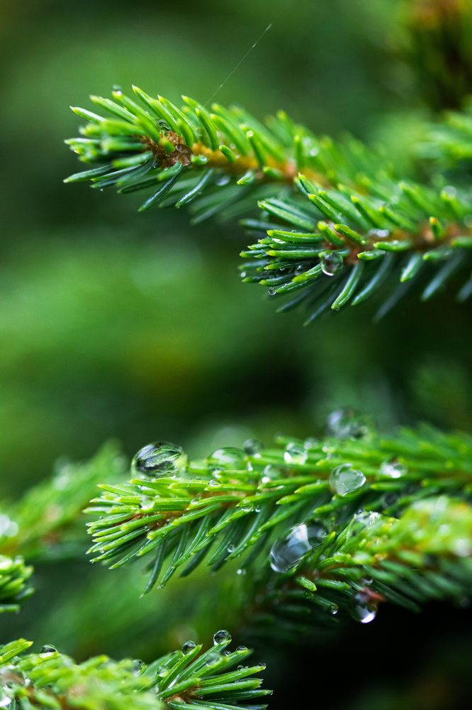 Photograph by Вероника Вербицкая