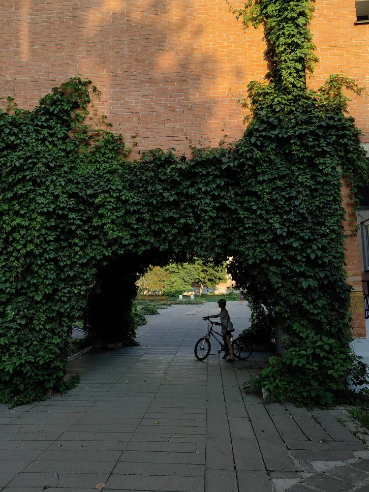 Photograph by Лидия Баженова