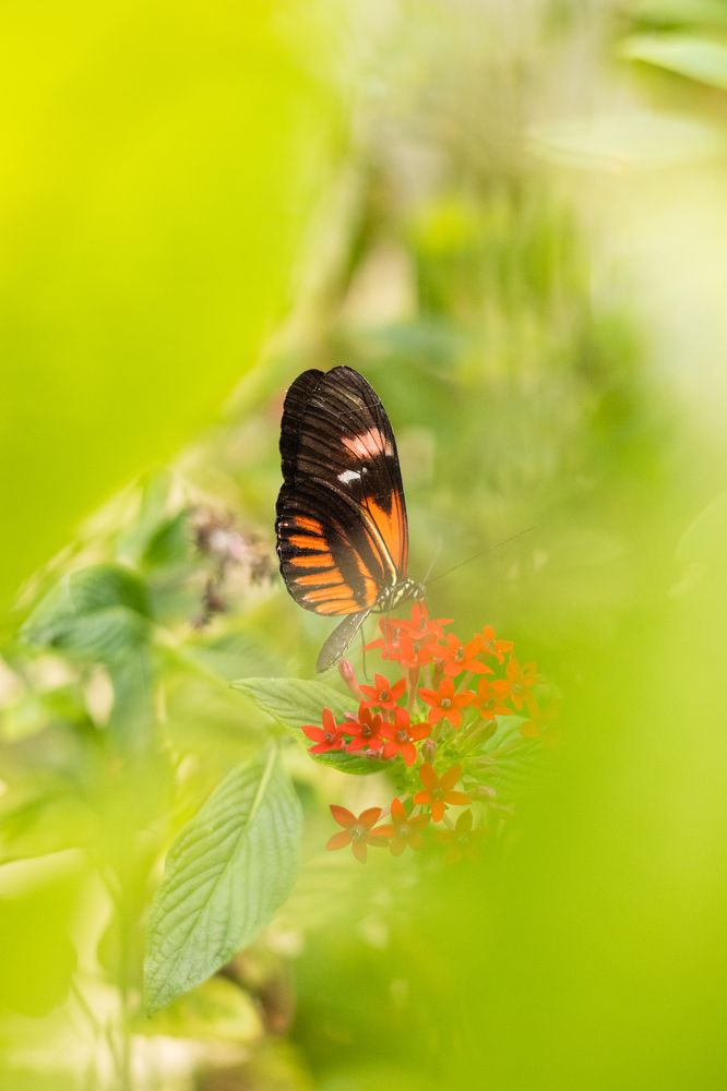 Photograph by Вероника Вербицкая