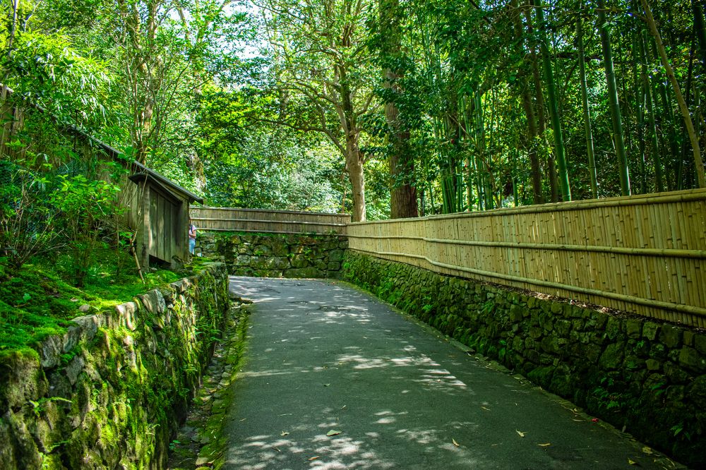 Photograph by Ivan Schaievitch