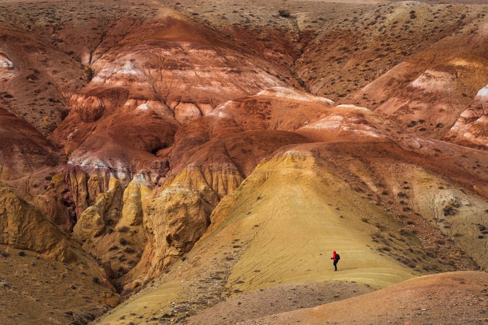 Photograph by Крицак Ольга