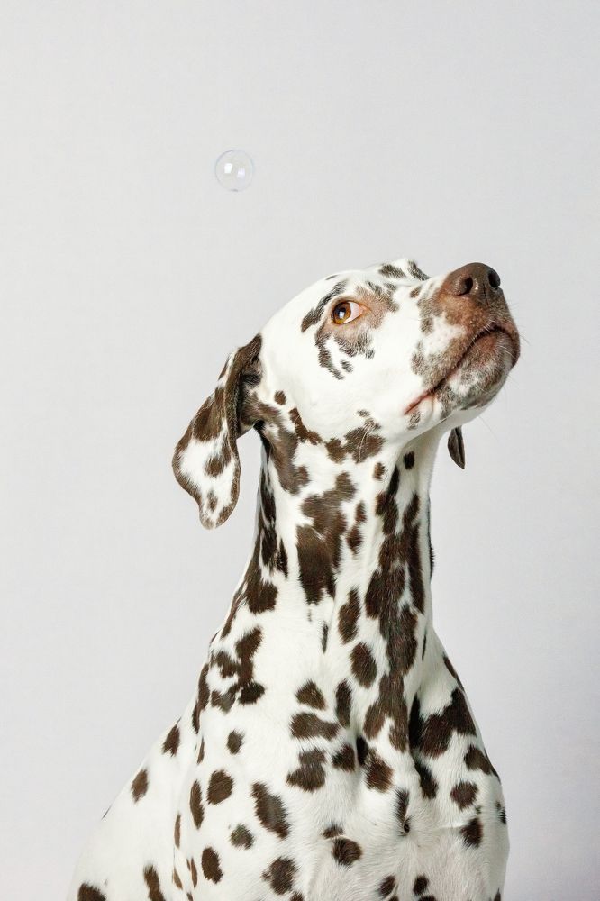 Photograph by Яна Нарбутович