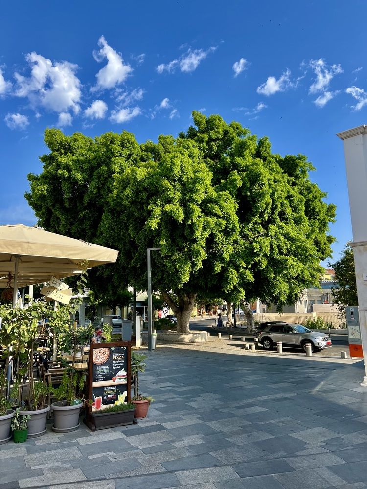 Photograph by Шестакова Наталья