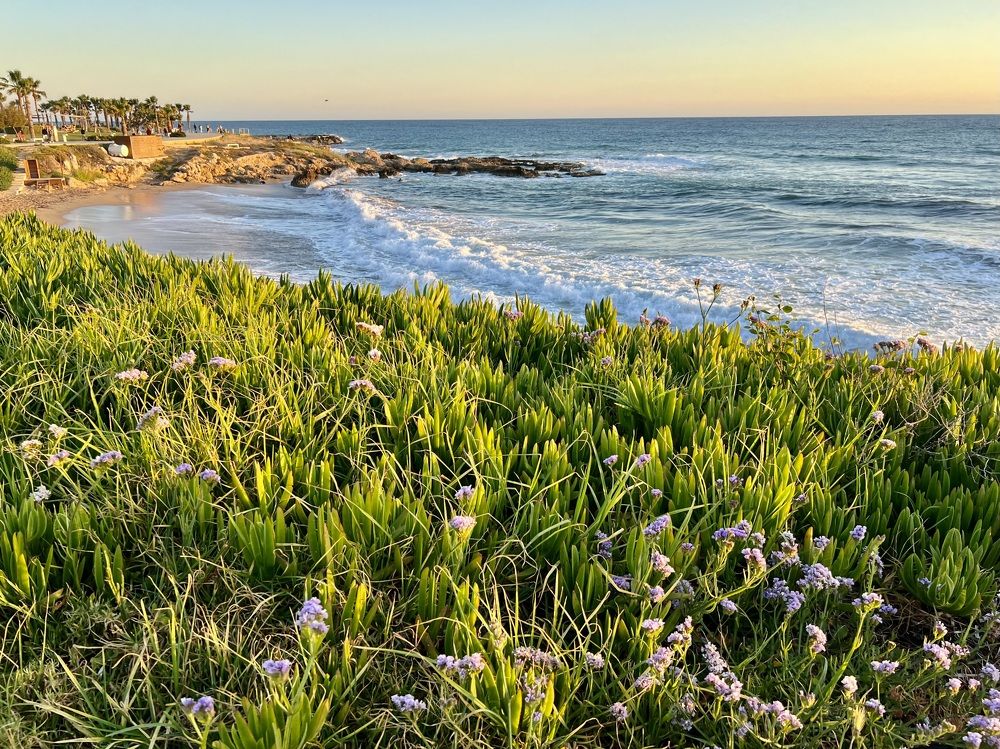 Photograph by Шестакова Наталья