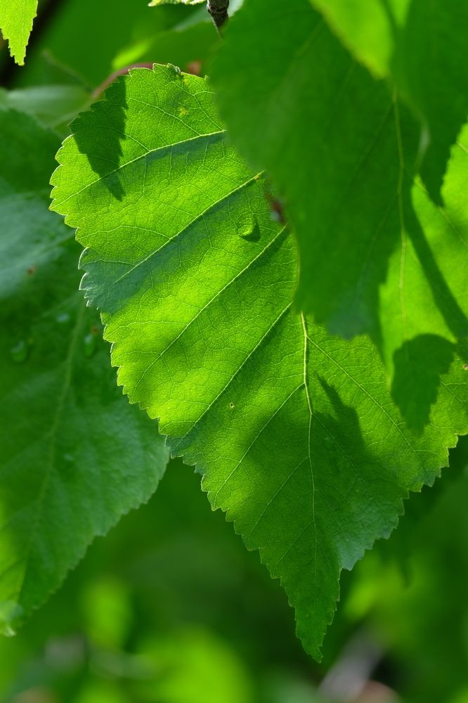 Photograph by Яна Бойко