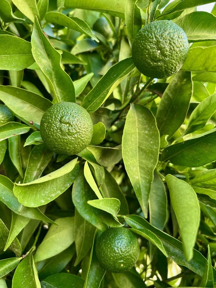 Photograph by Шестакова Наталья