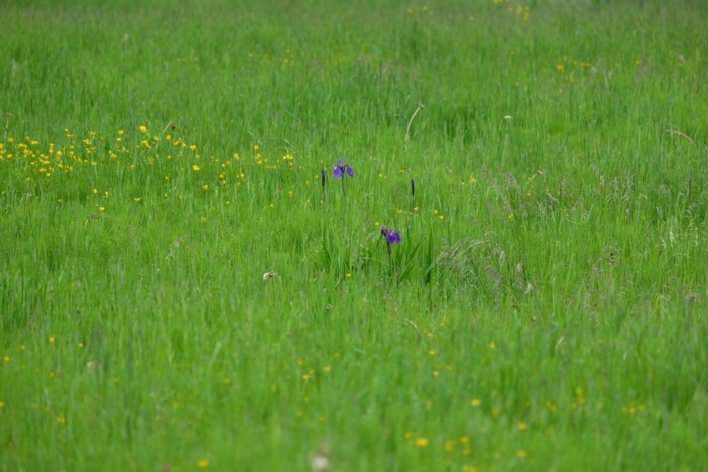 Photograph by Яна Бойко