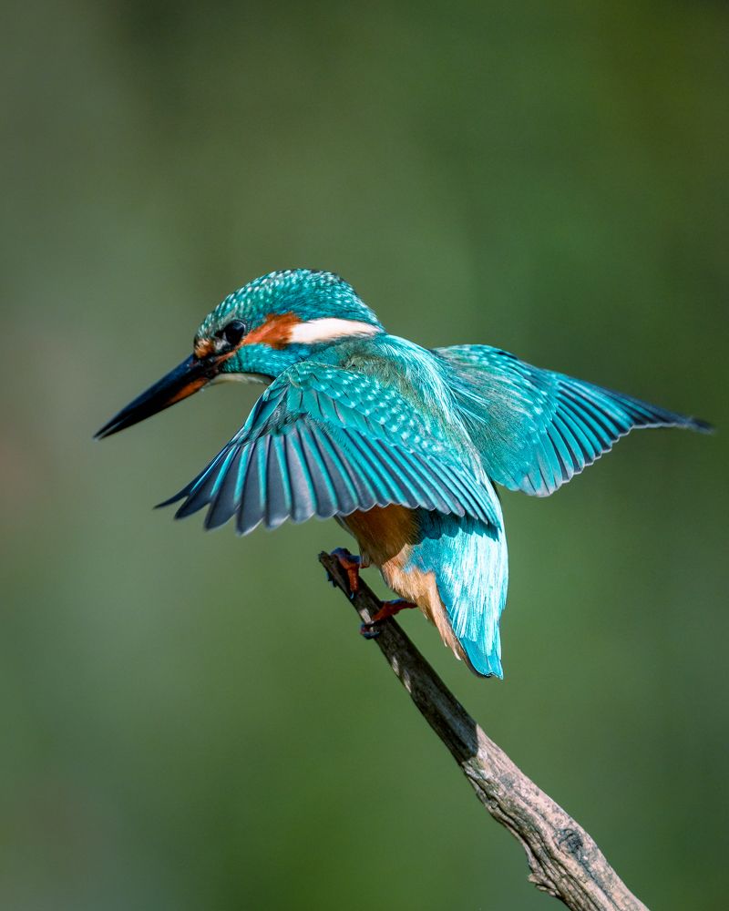 Фотография автора Оксана Дорн