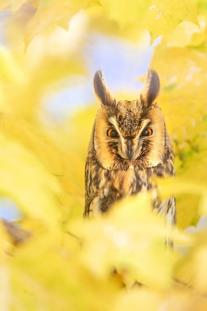 Photograph by Власов Егор