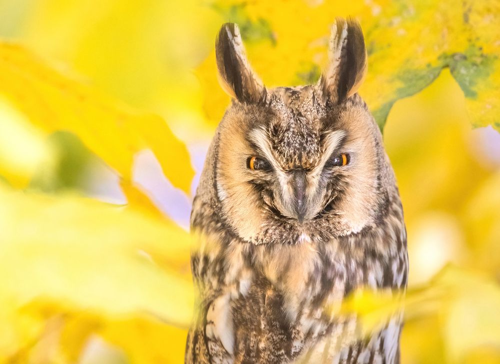 Photograph by Власов Егор