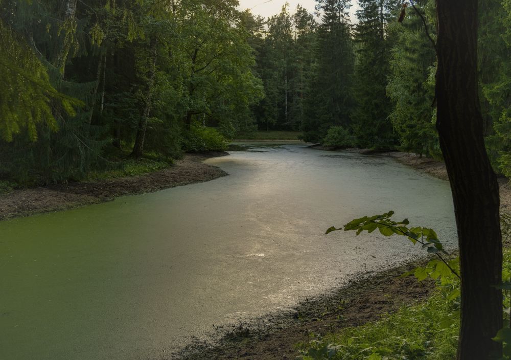 Photograph by Александр К