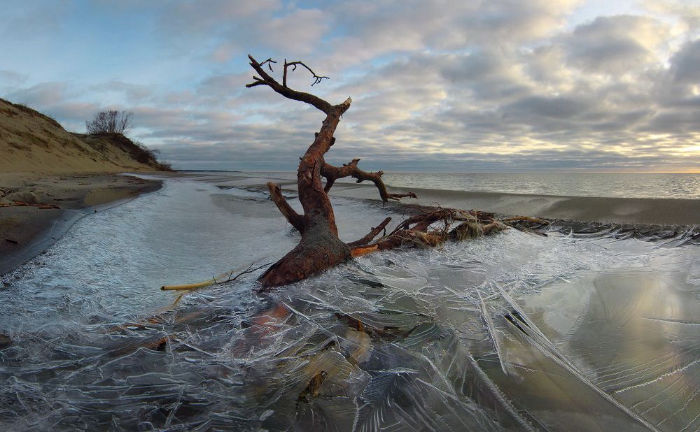 Photograph by Владимир Петрукович