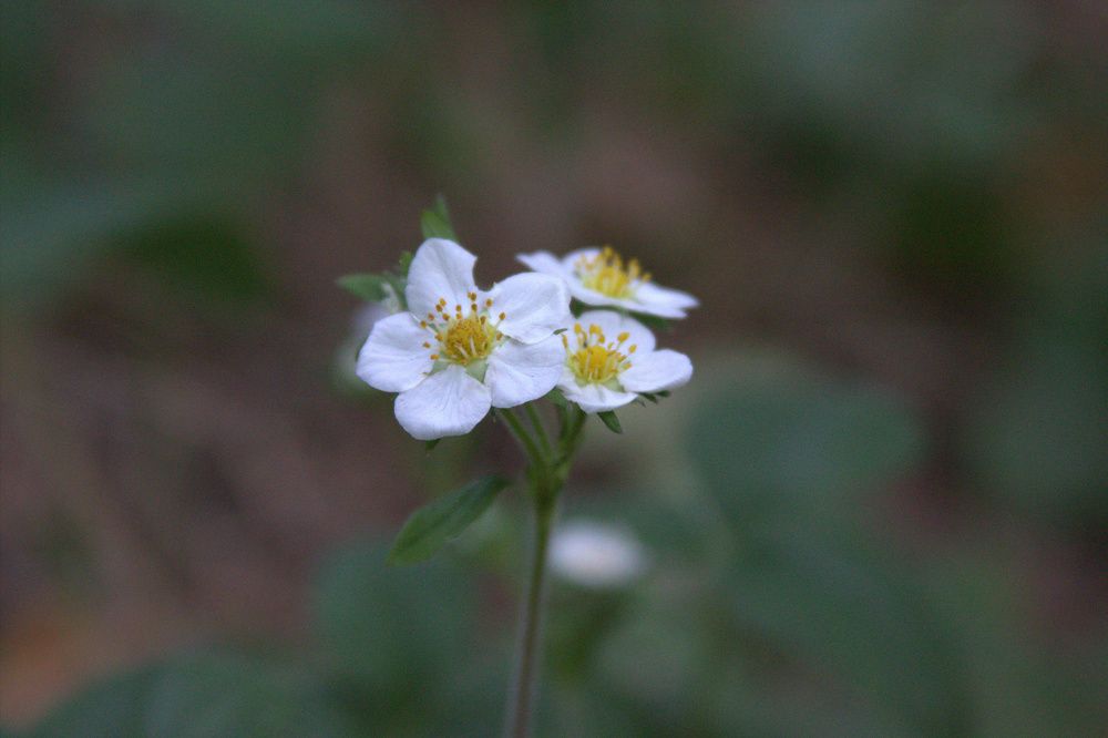 Photograph by Светлана Кравченко