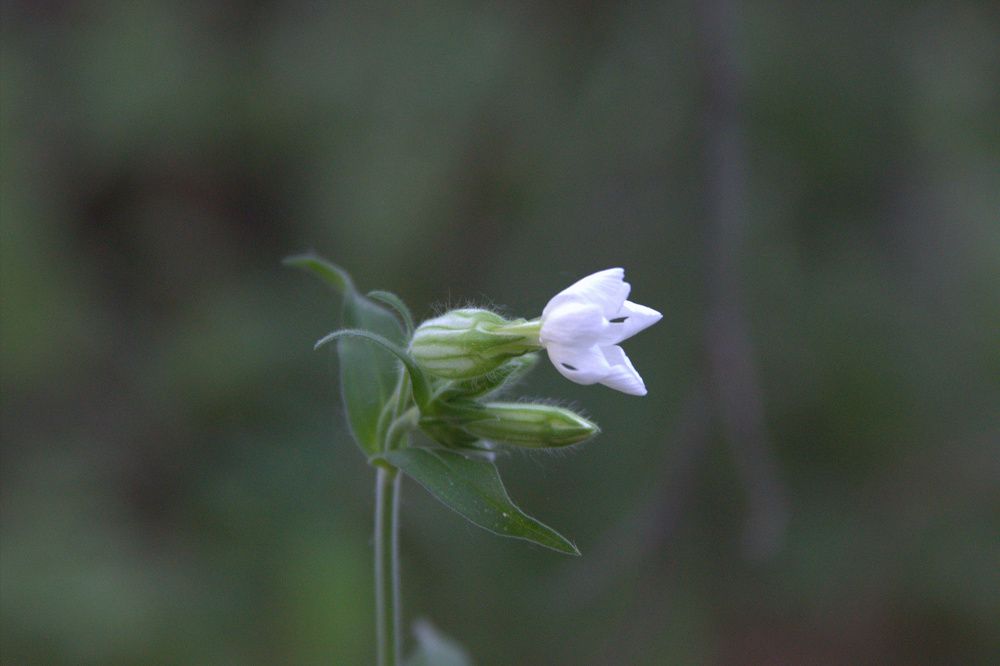 Photograph by Светлана Кравченко