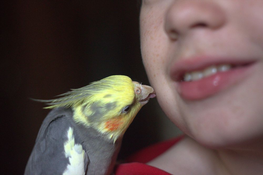 Photograph by Светлана Кравченко