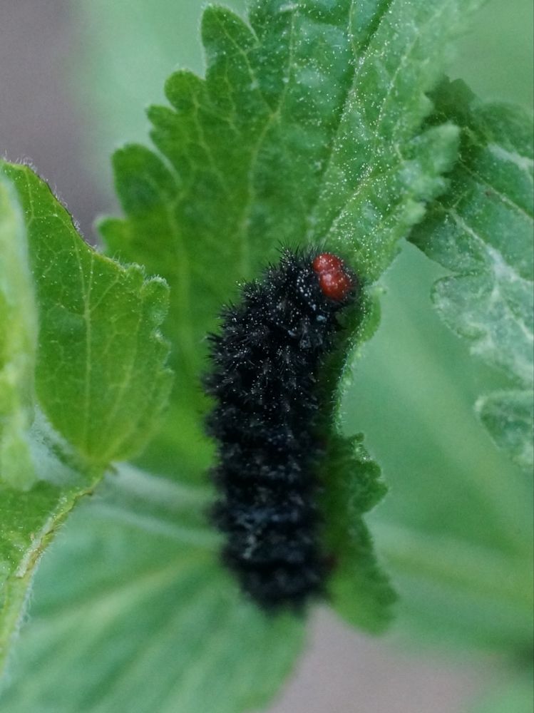 Photograph by Вадим Богатиков