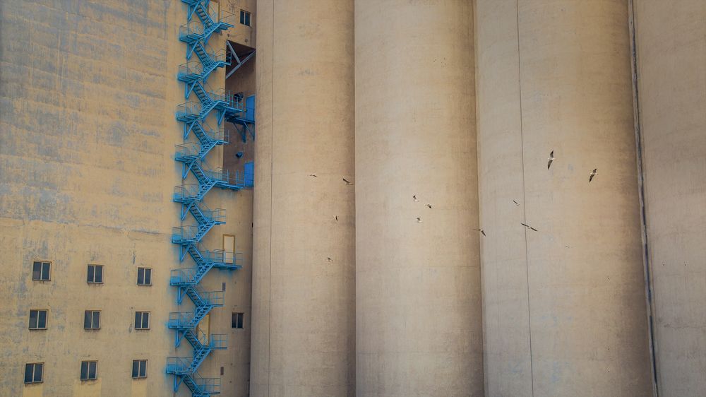 Photograph by seyed mostafa yousefi